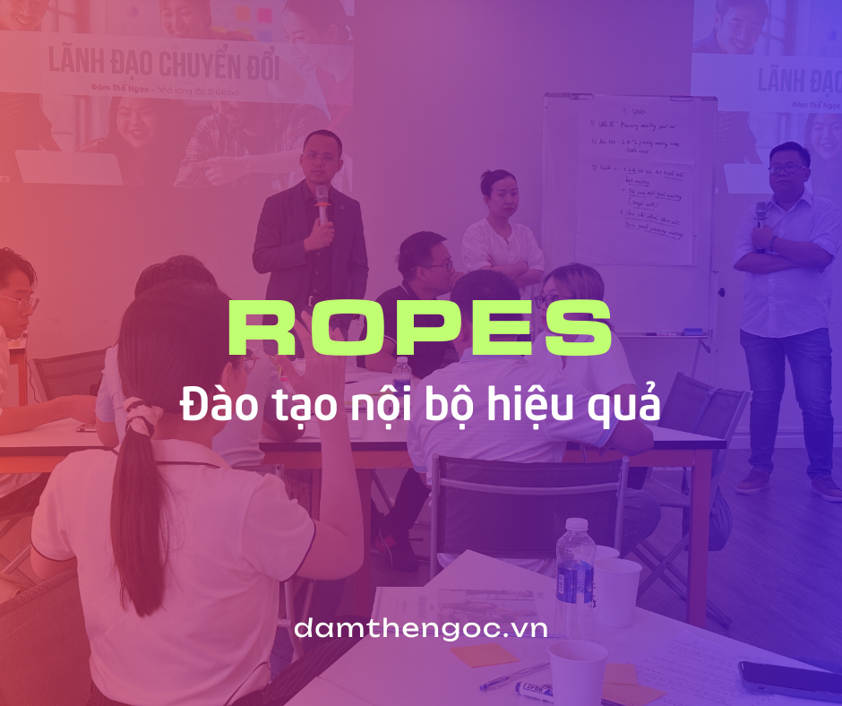 Ropes đào tạo nội bộ hiệu quả